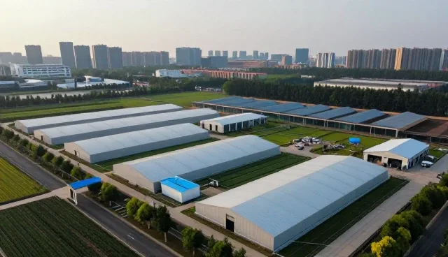 技术咨询中的性能评估常见问题与处理策略